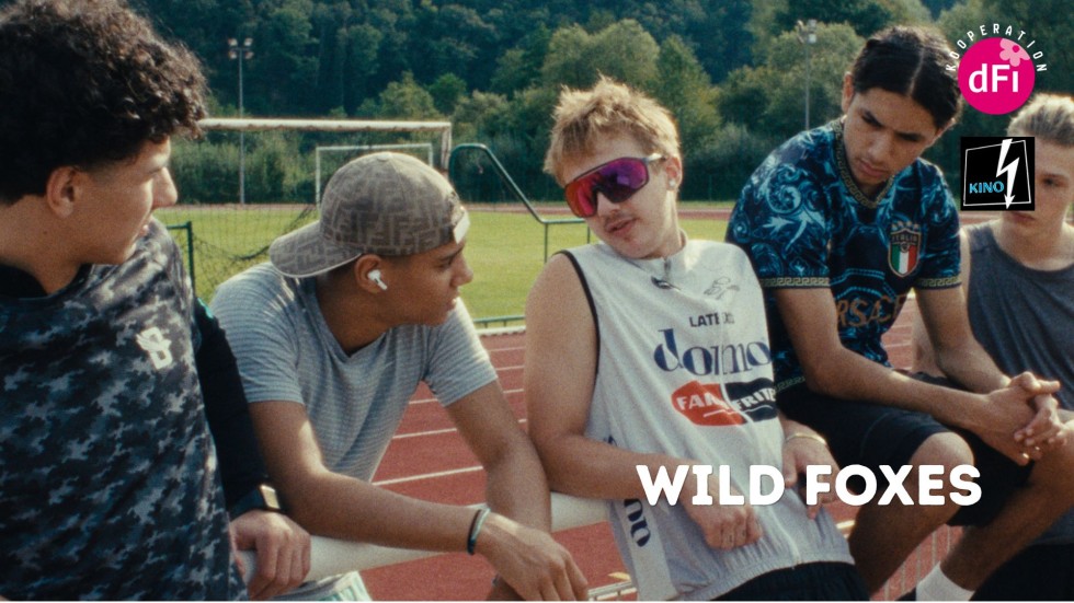Kino: Wild Foxes 