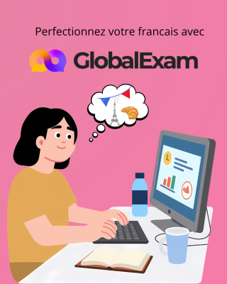 _wpframe_custom/gallery/files/wpf_sitemanager/t_perfectionnezvotrefrancaisavepng_1780492674.png